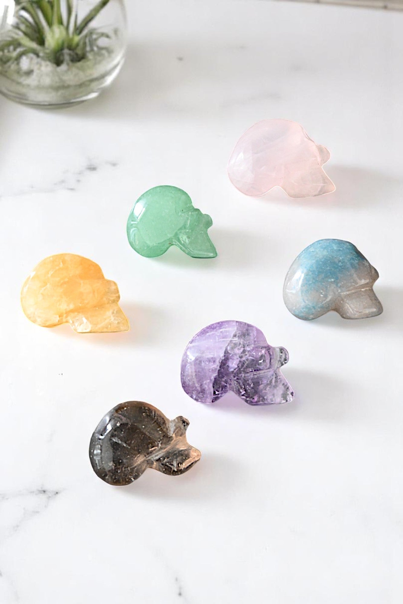 Brazil Mini Skull