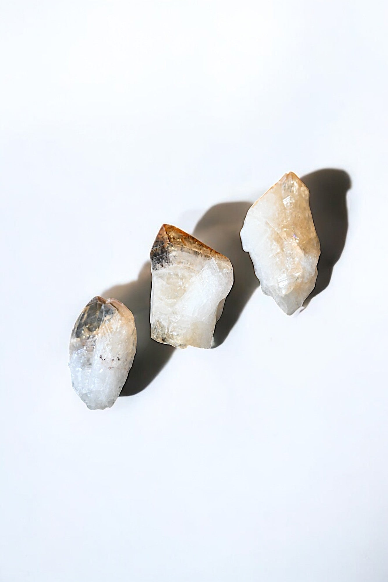 Citrine Root Small