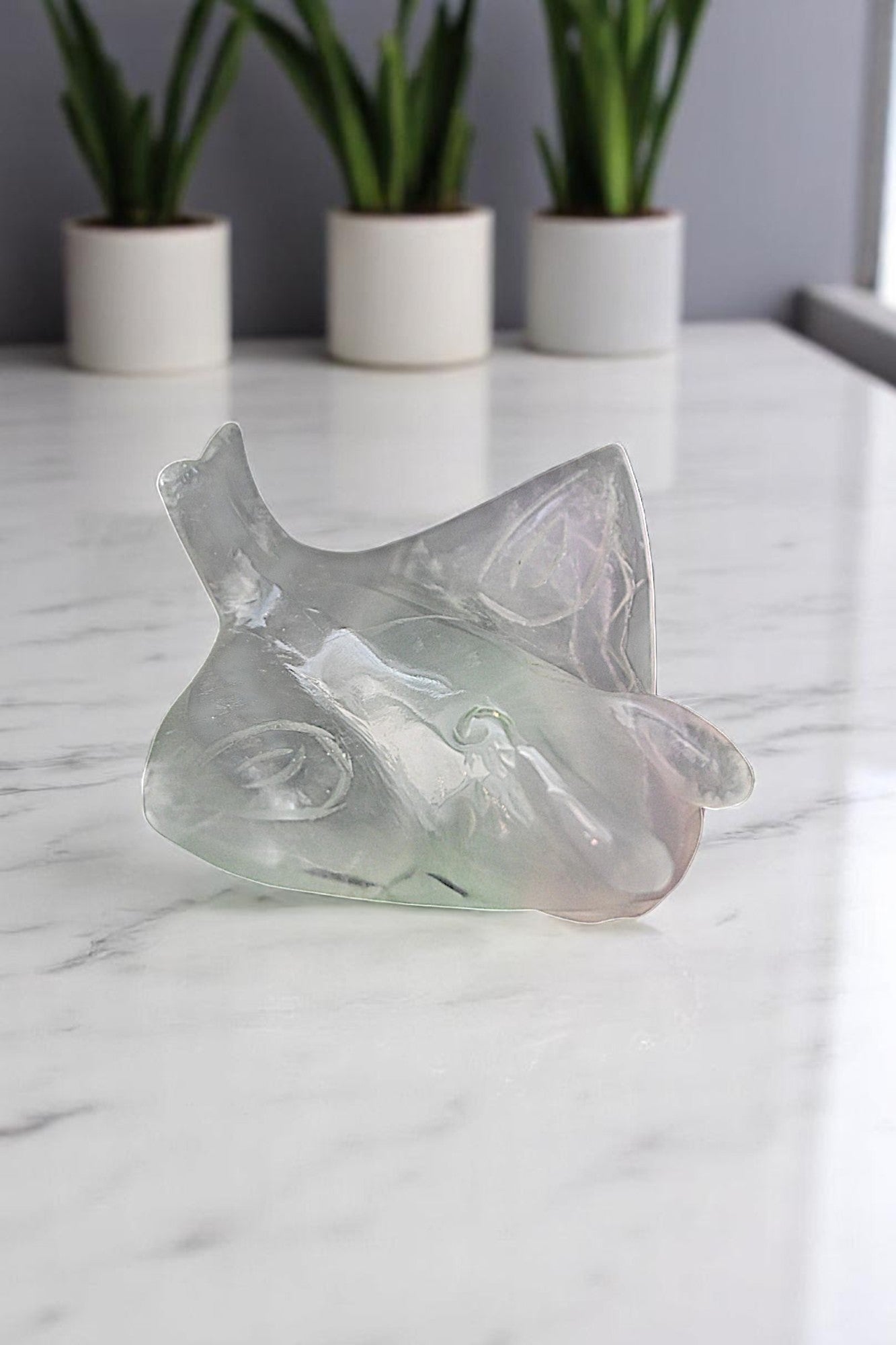 Fluorite Manta Ray