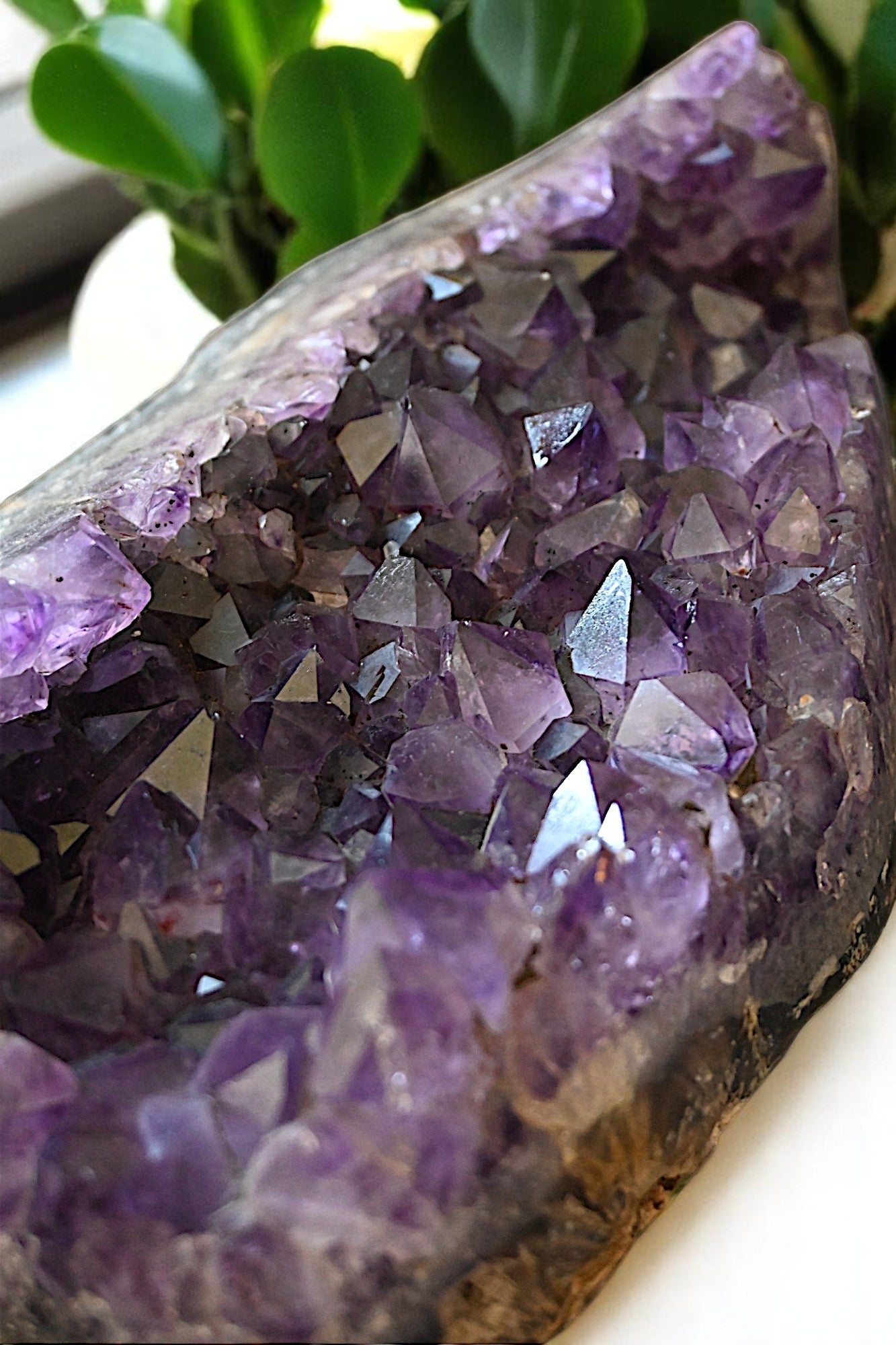 Uruguay Amethyst Cluster