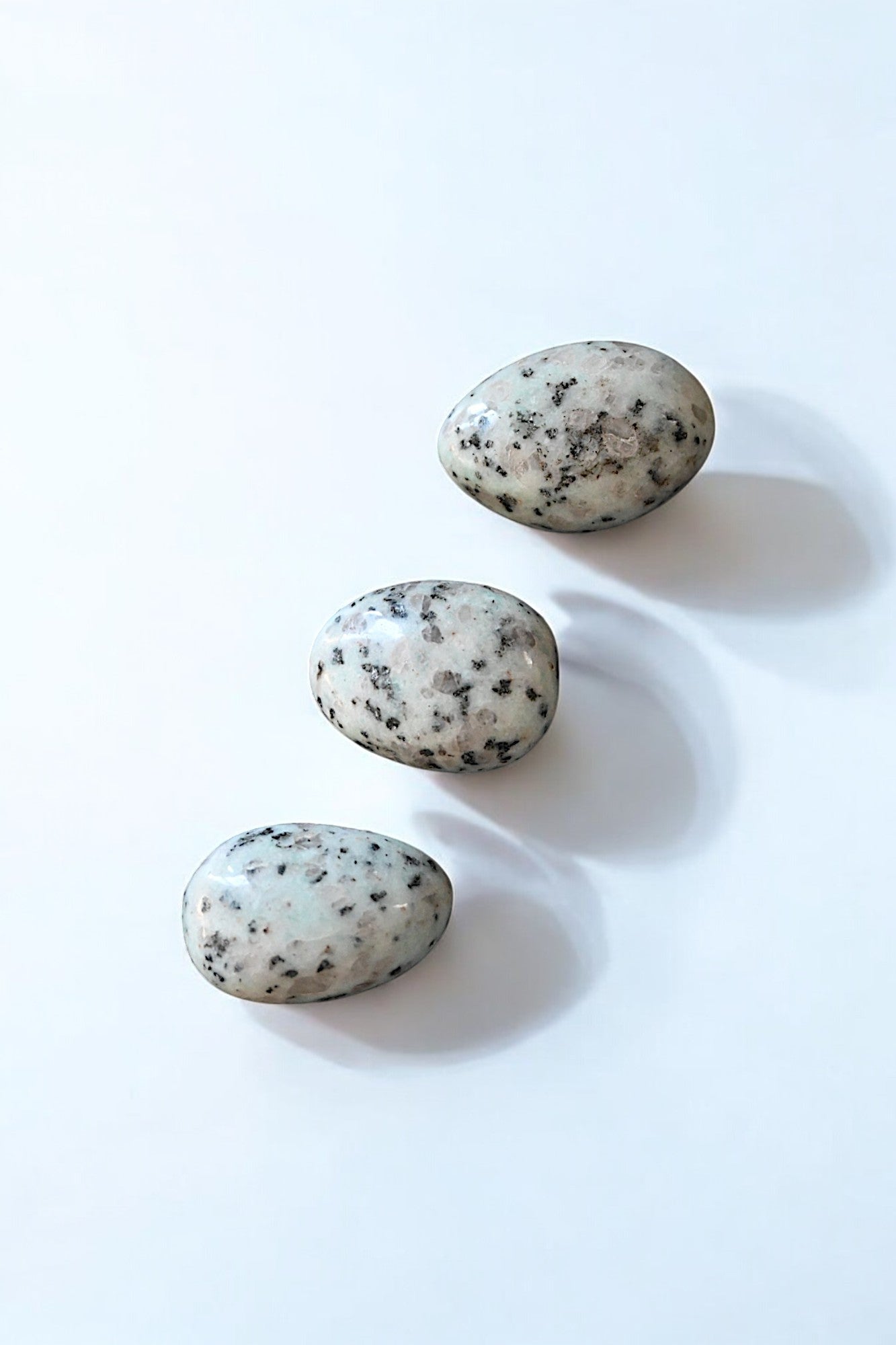 Kiwi Jasper XL Tumble