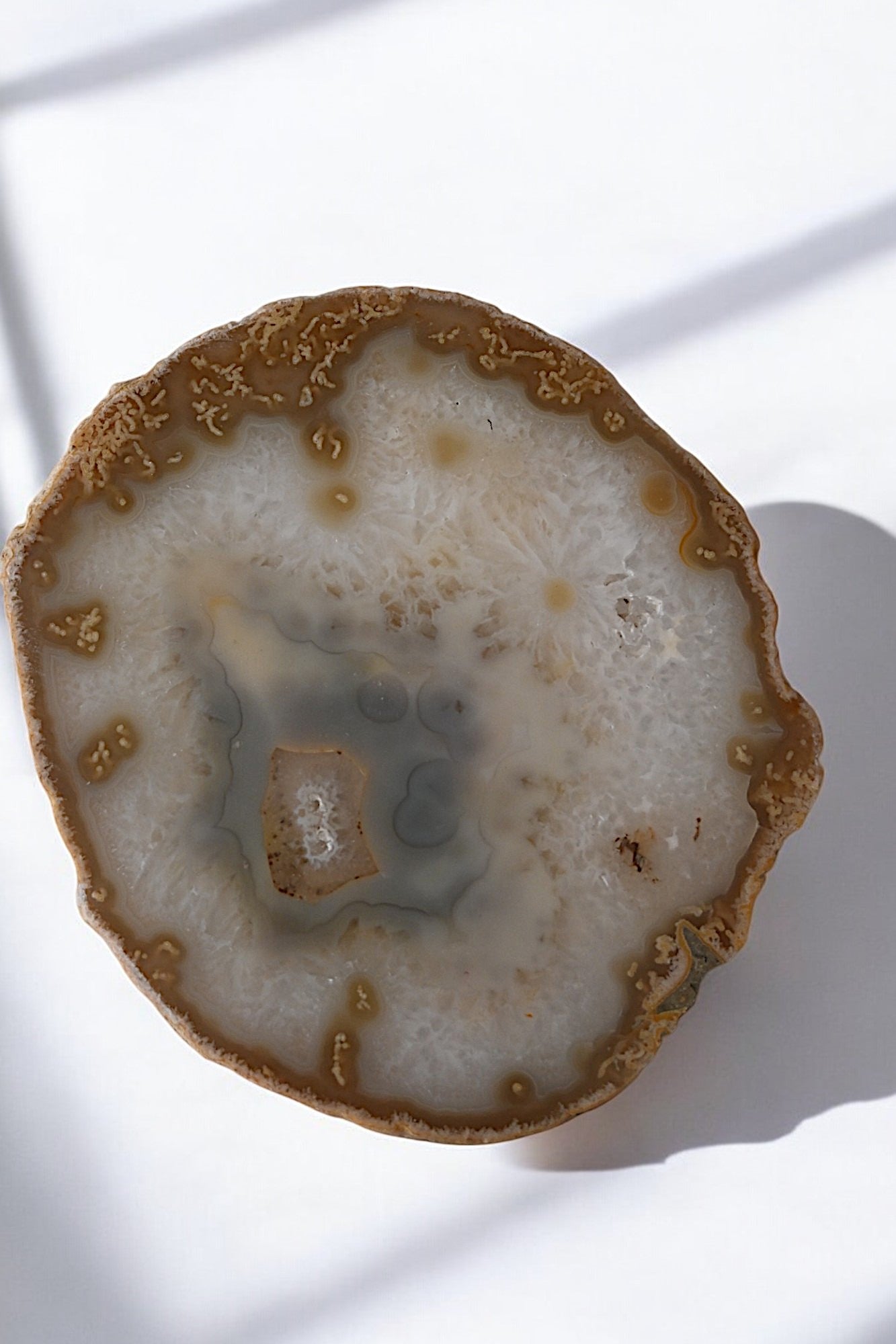 Agate Slice | Large