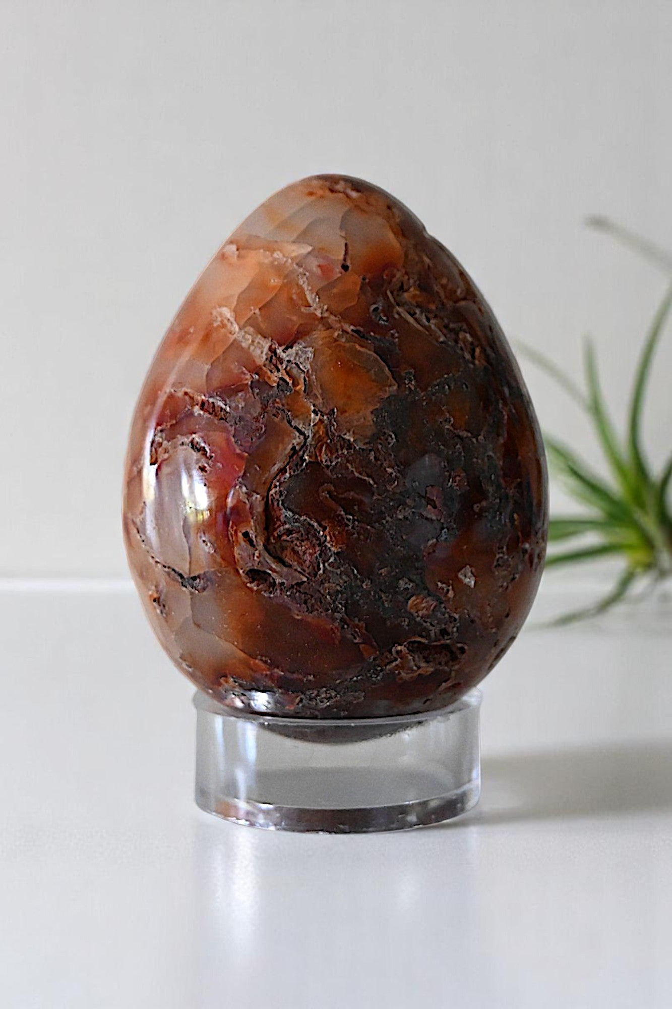 Carnelian Egg | Large