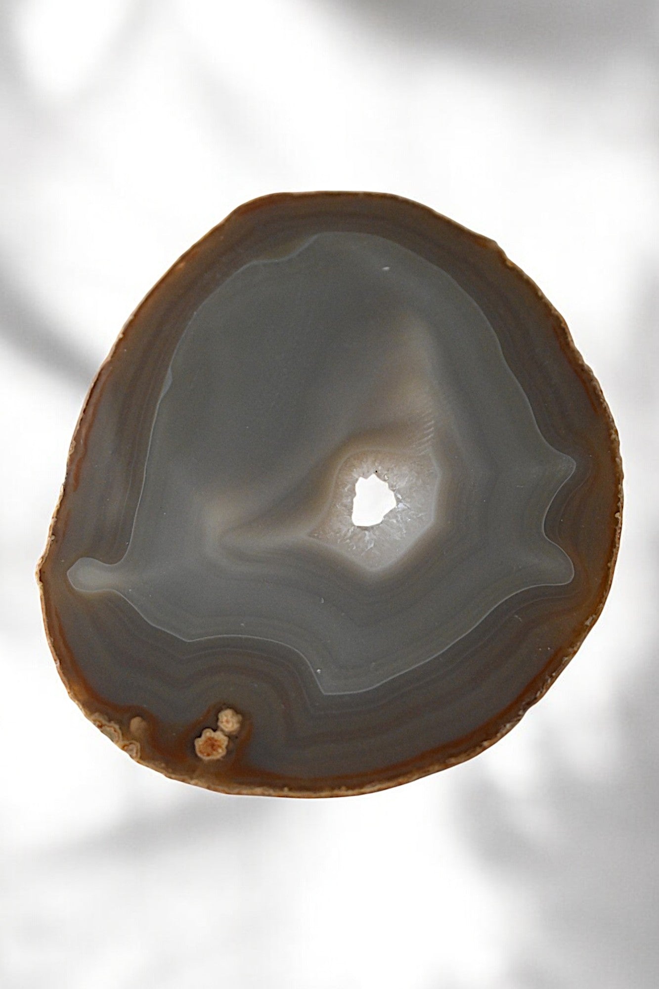 Brazil Agate Slice