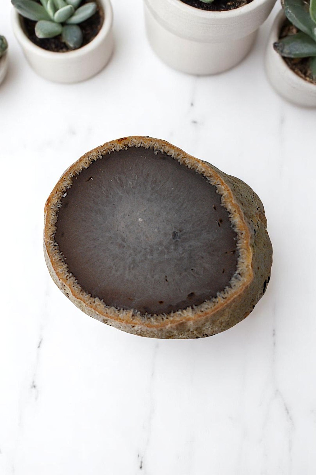 Agate Enhydro