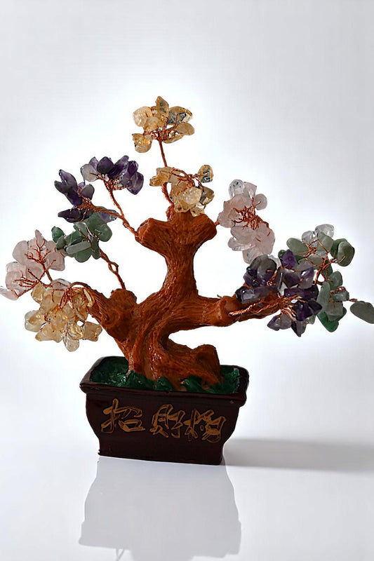 Lucky Bonzai Tree