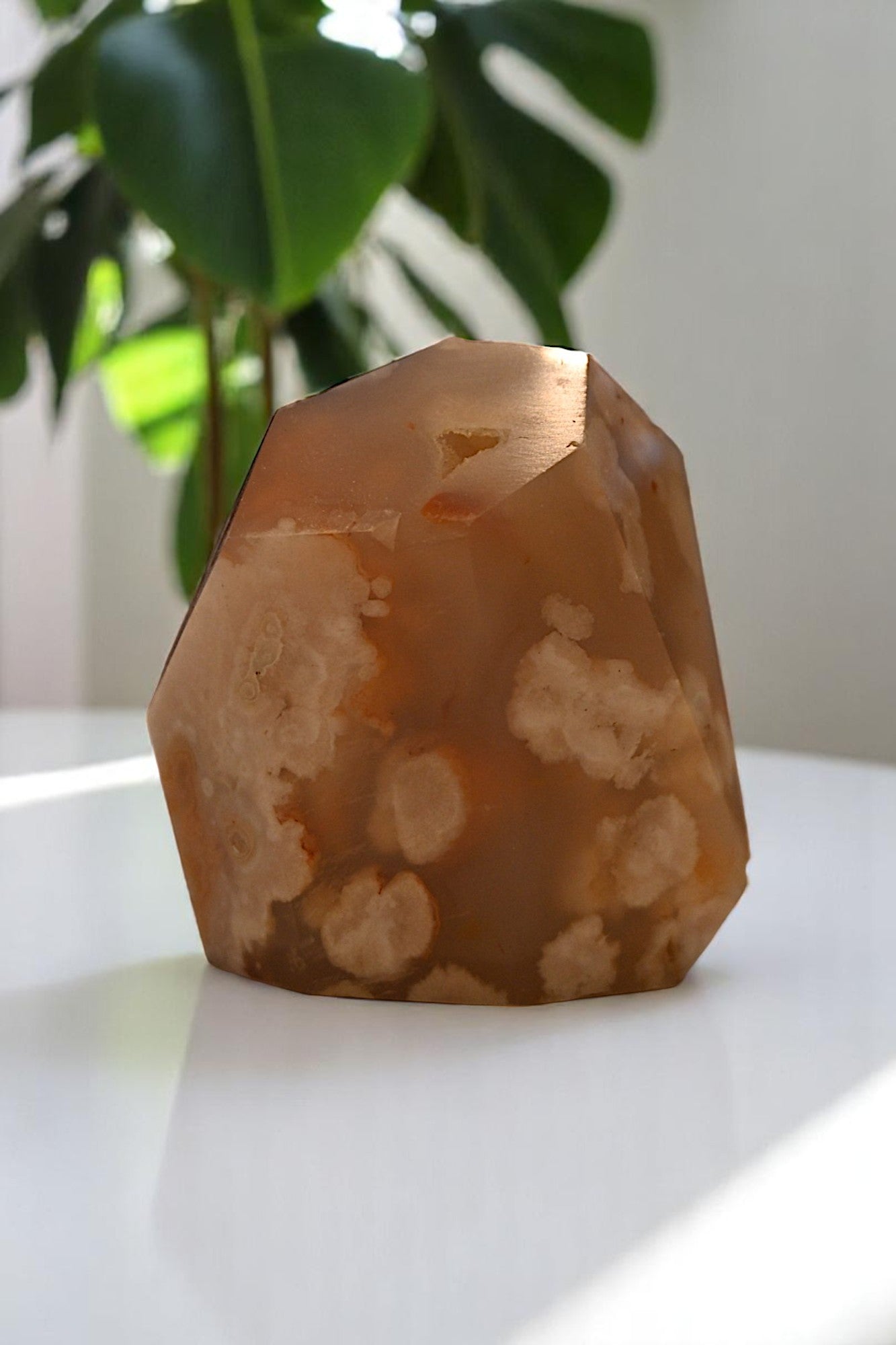 Cherry Blossom Agate Freeform