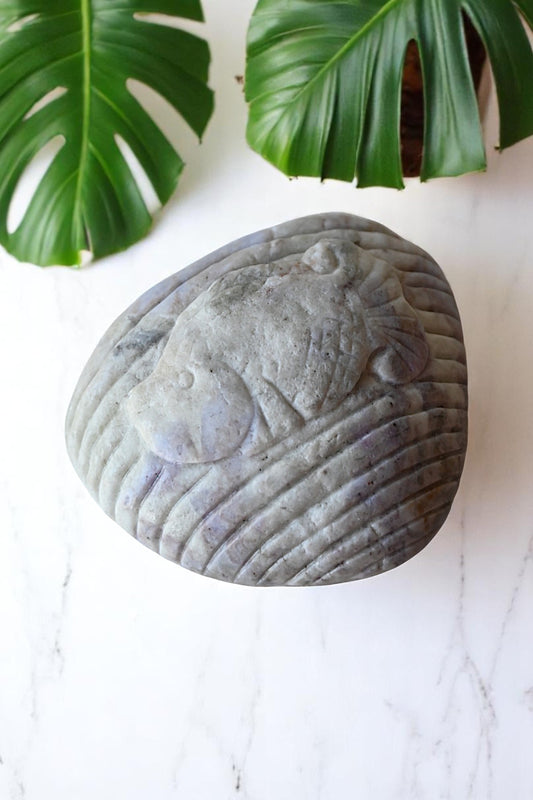 Tiffany Stone Shell