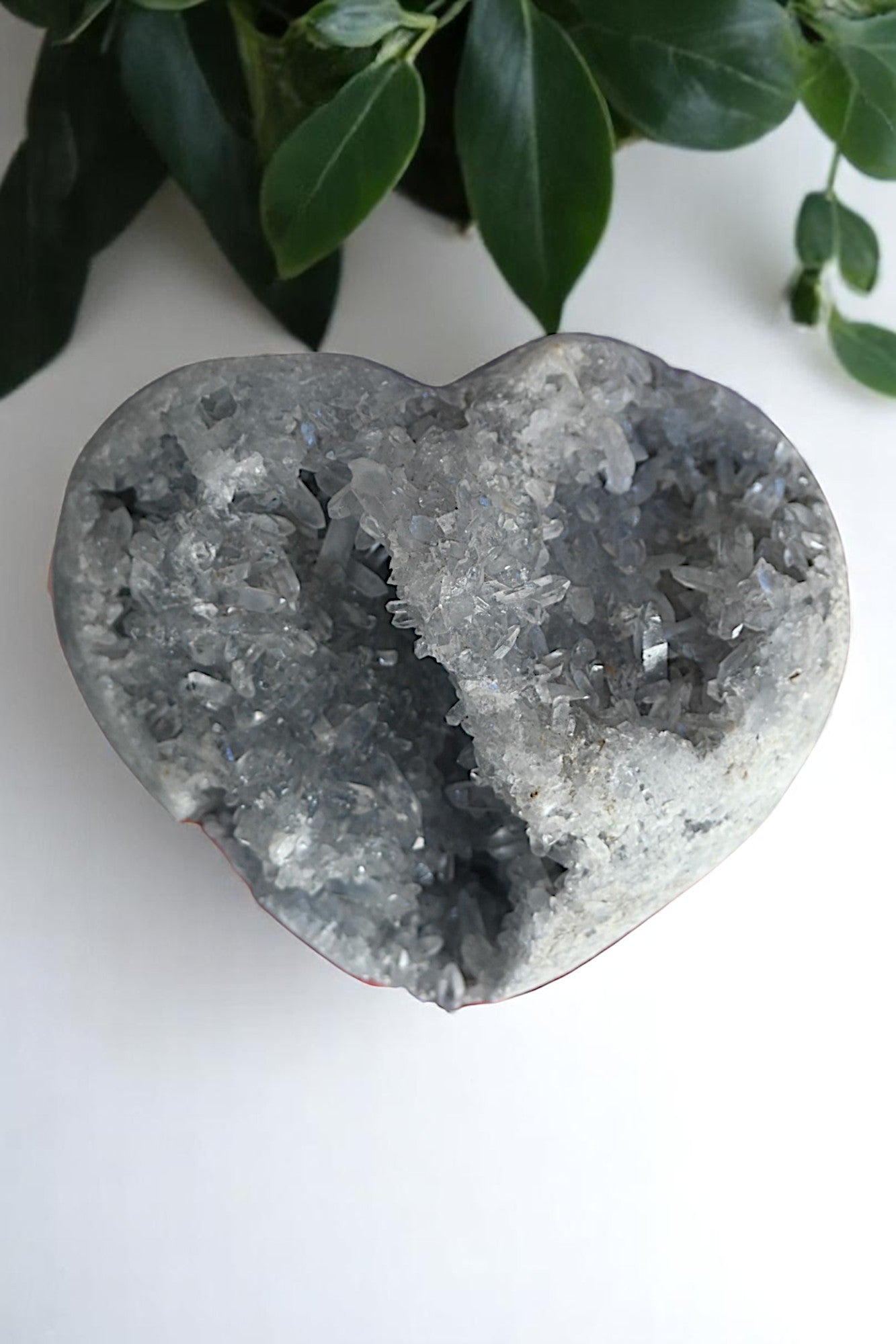 Massive Celestite Heart