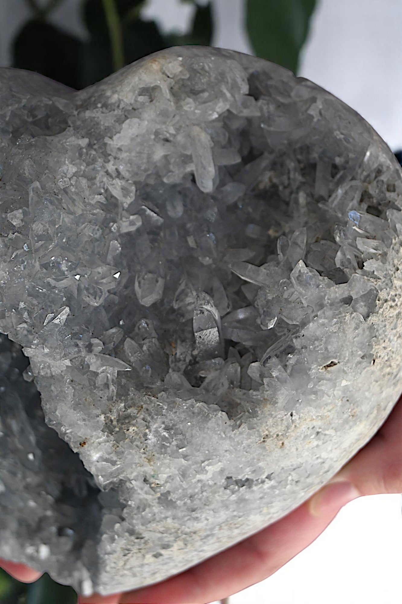 Massive Celestite Heart