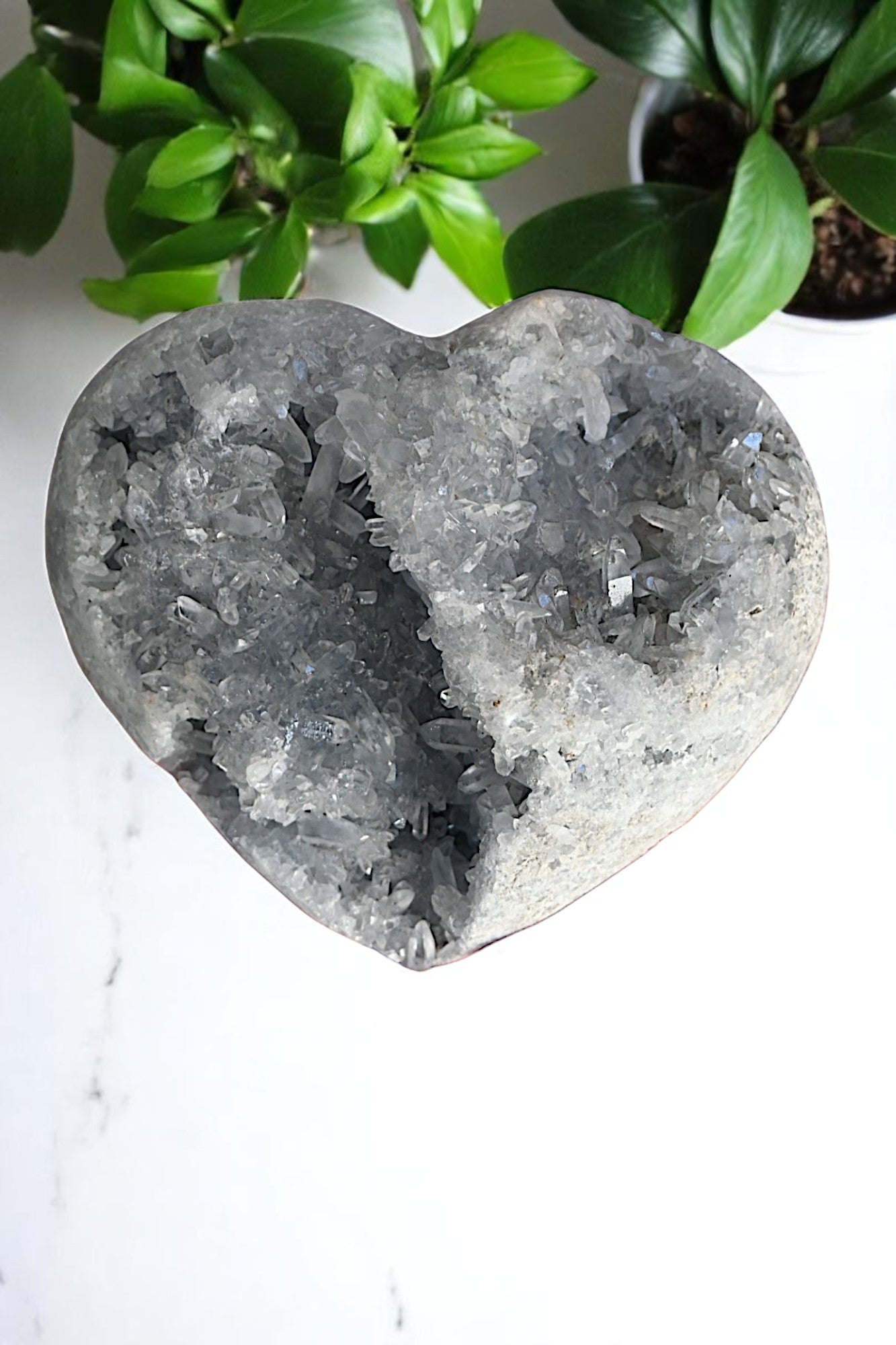 Massive Celestite Heart