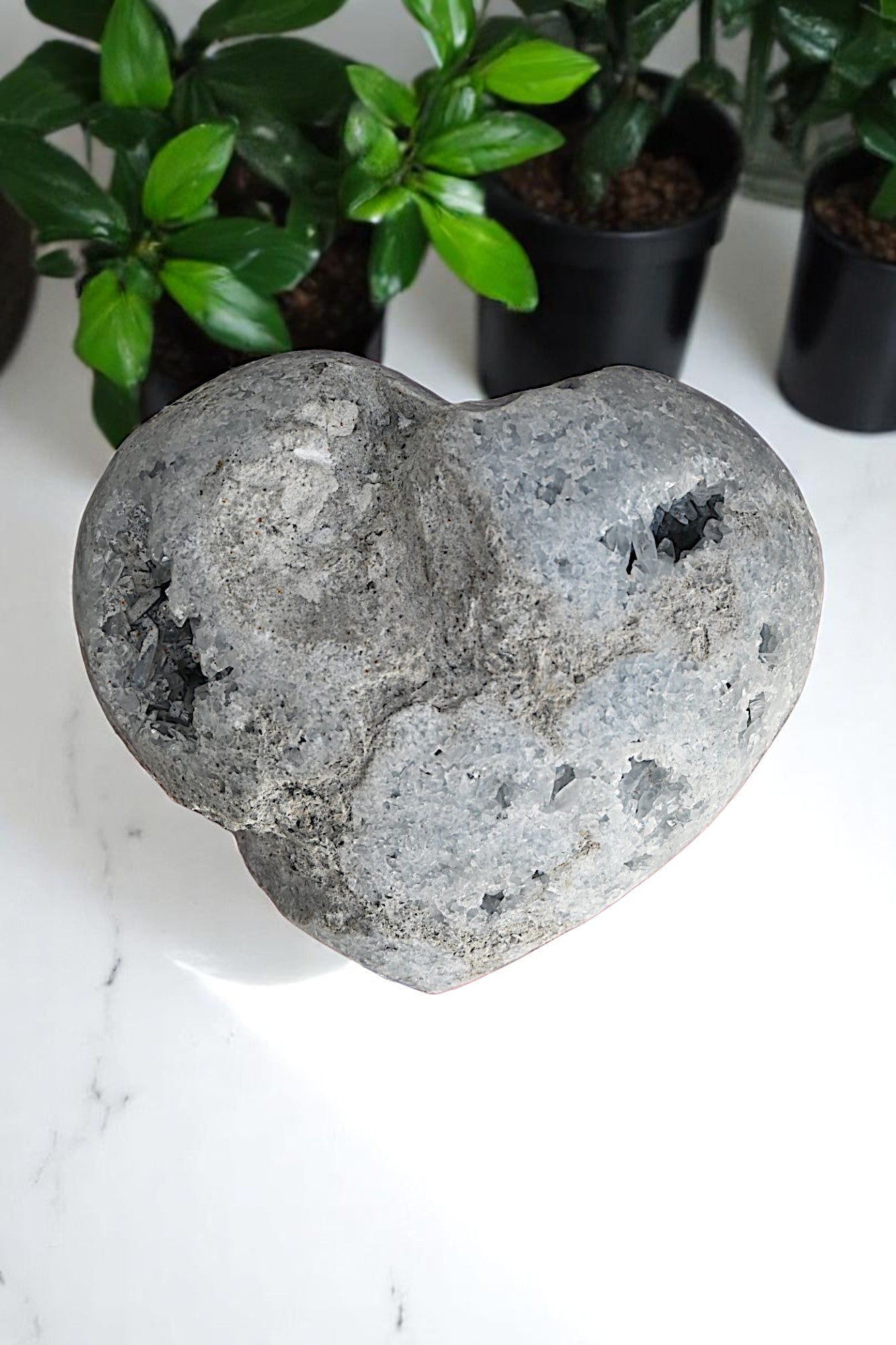 Massive Celestite Heart