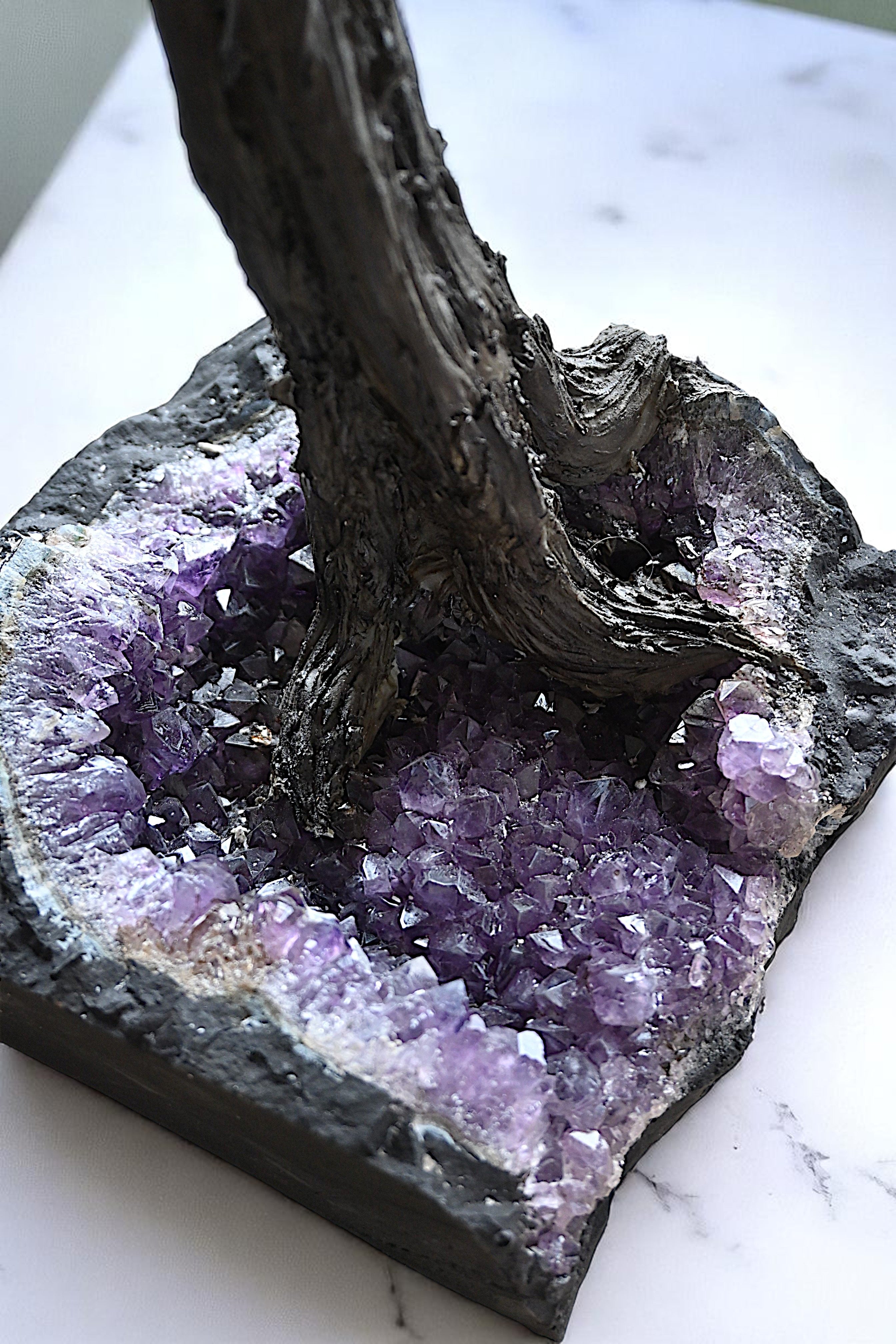 Amethyst Gigantic Bonzai Tree