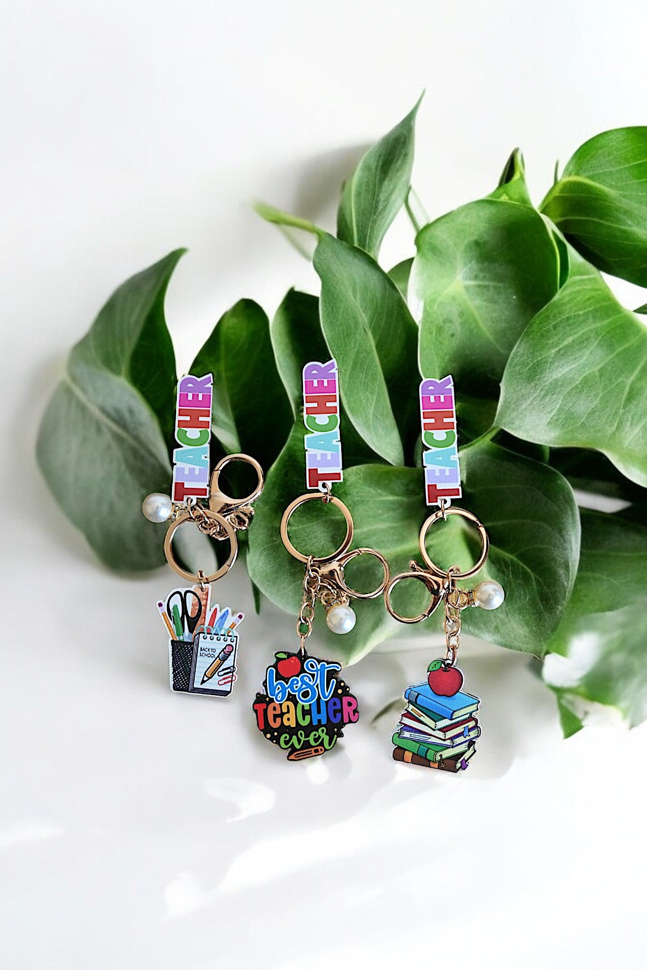 Teacher Gift Keyrings