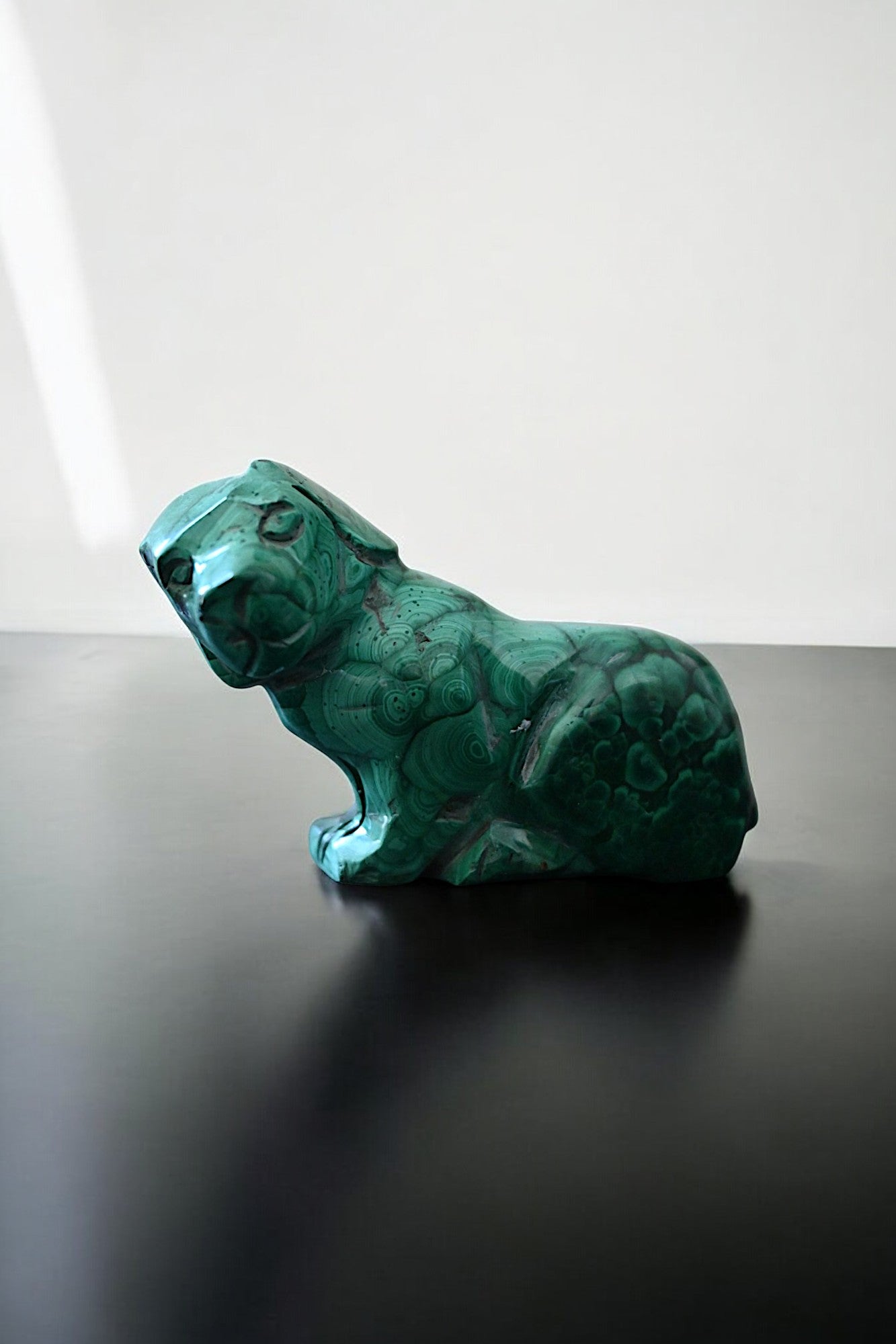 Malachite Dog
