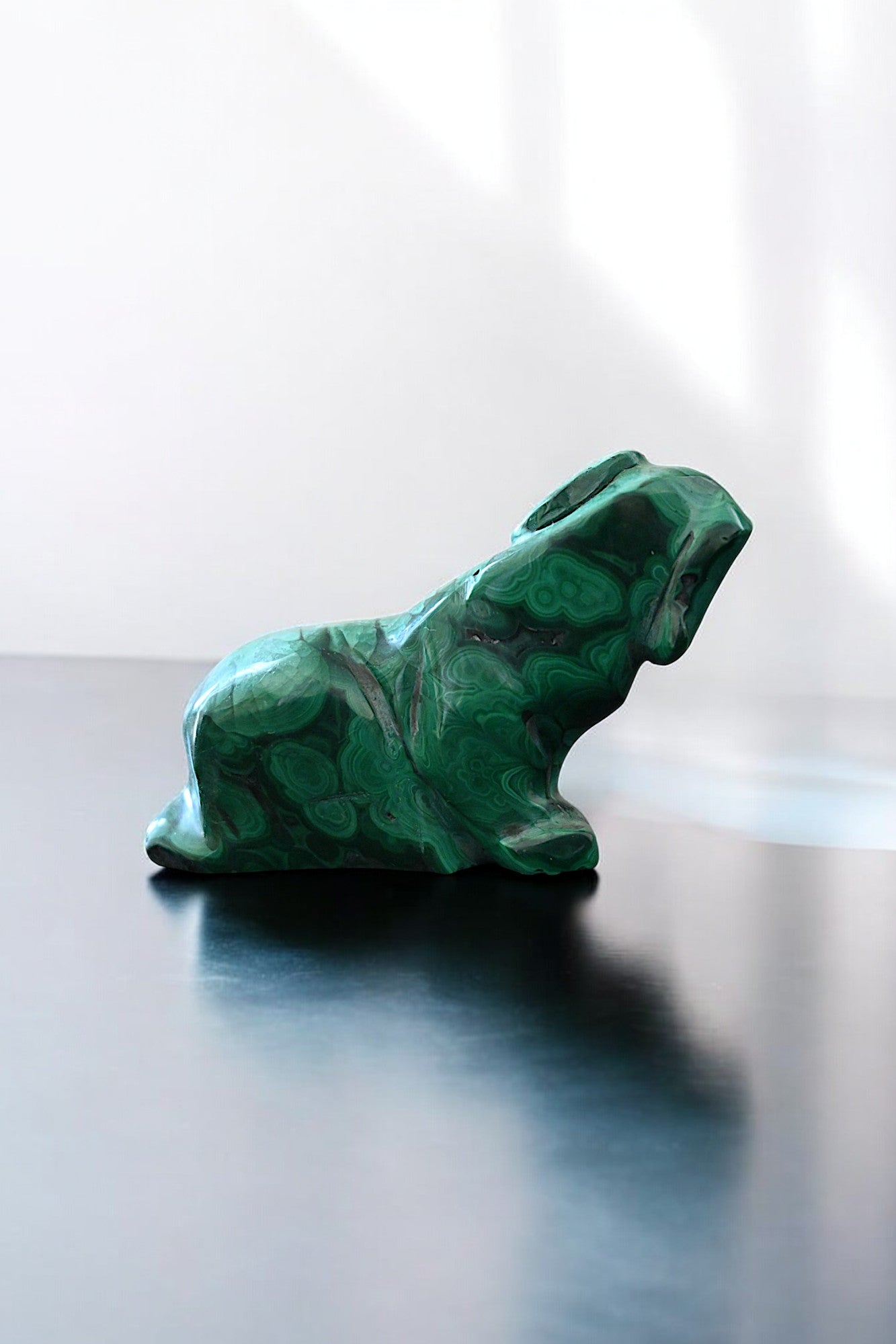 Malachite Dog