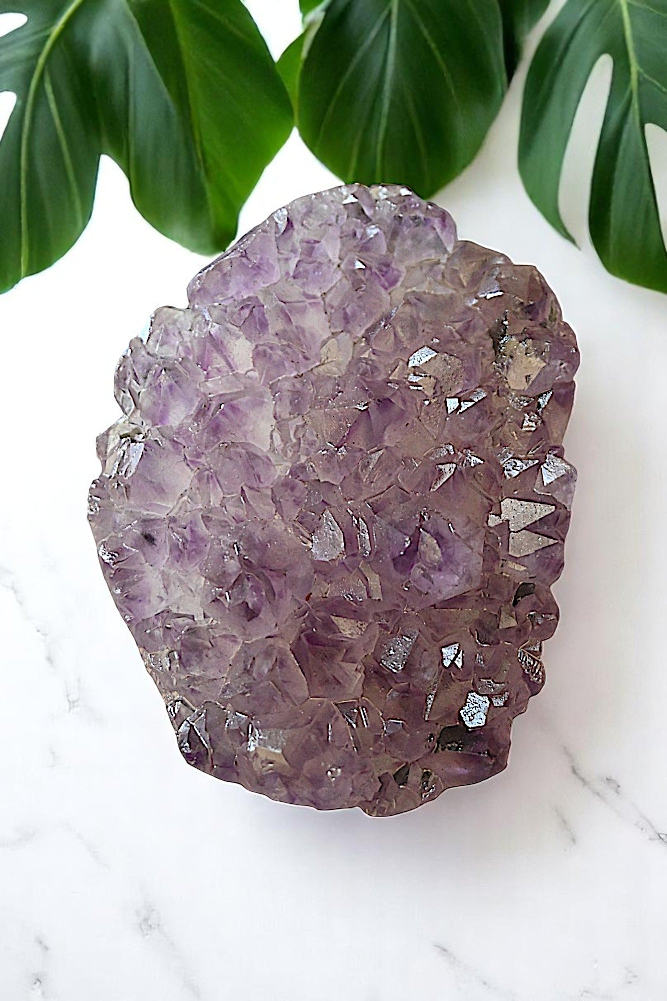 Agate & Amethyst Cluster Turtle