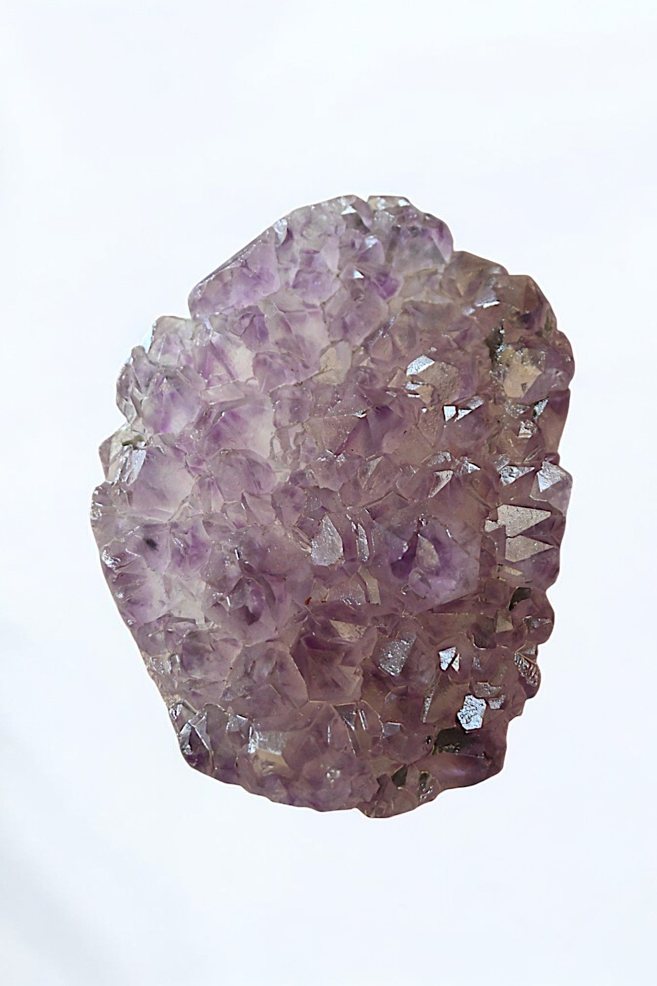 Agate & Amethyst Cluster Turtle