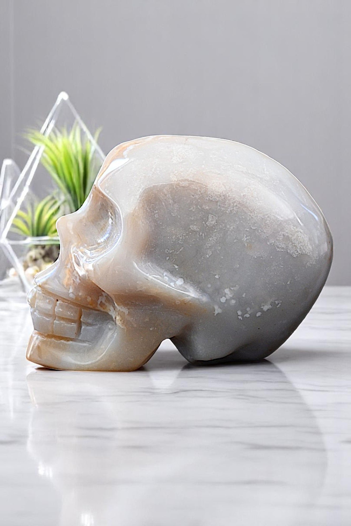 Cherry Blossom Agate Skull