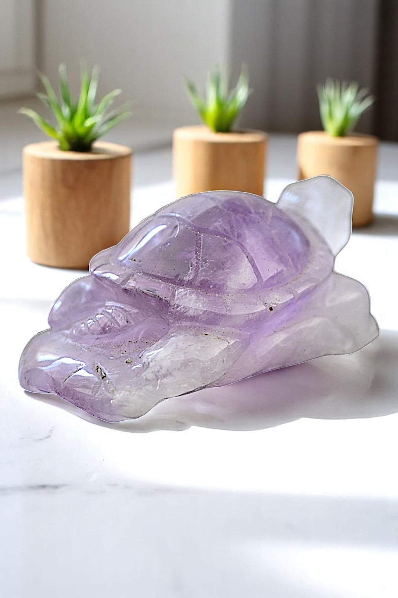 Amethyst Turtle