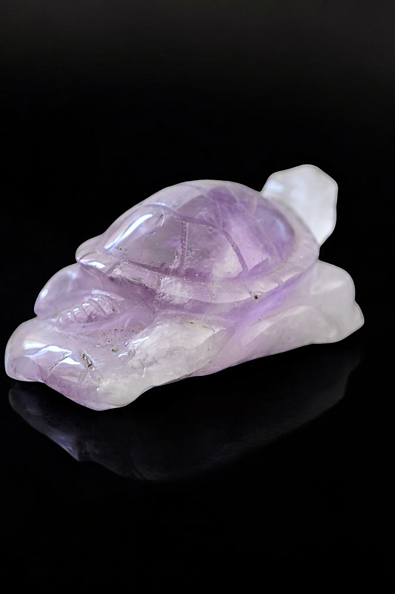 Amethyst Turtle