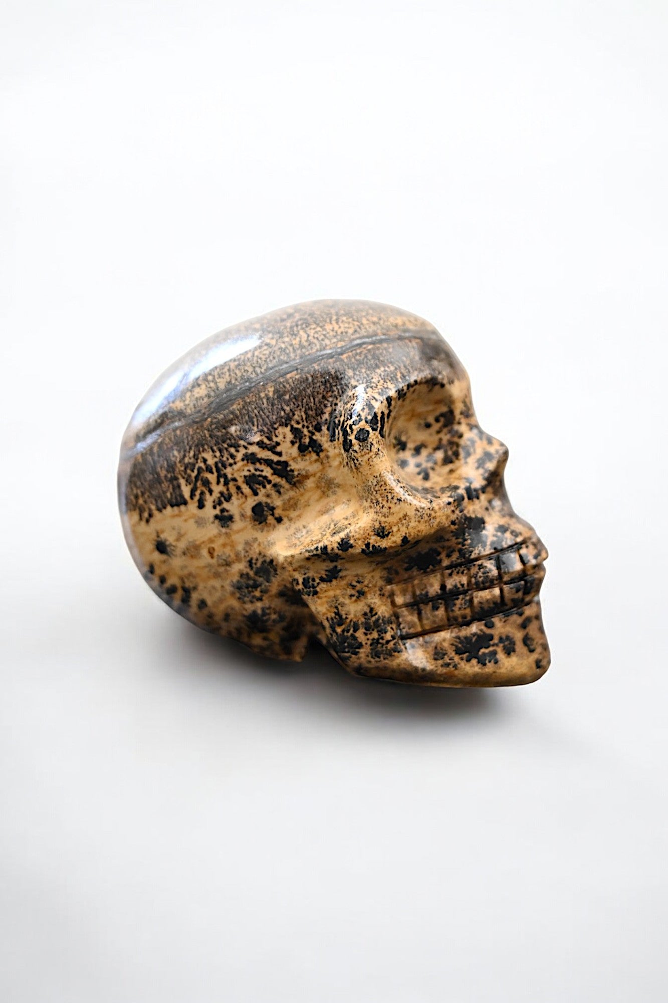 Dendrite Jasper Skull