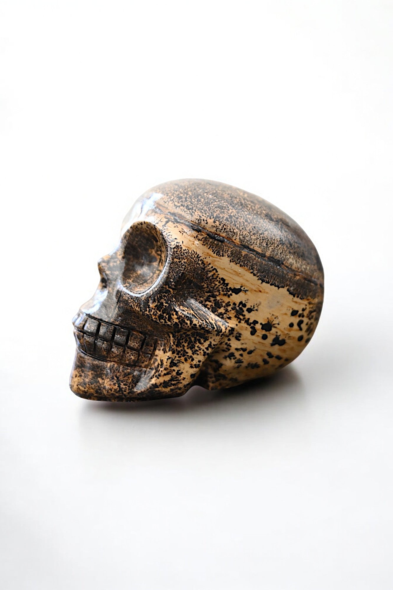 Dendrite Jasper Skull